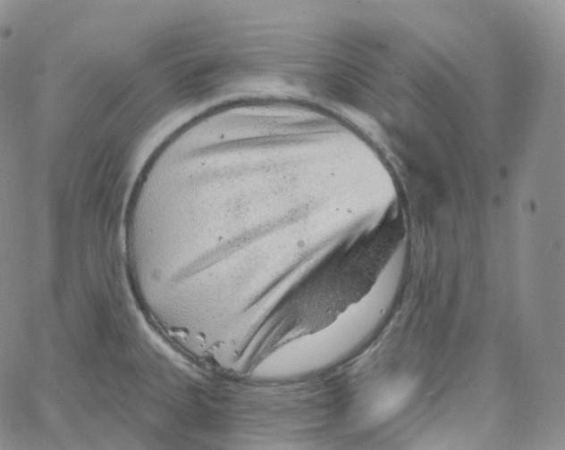 X0000065261335200603131153