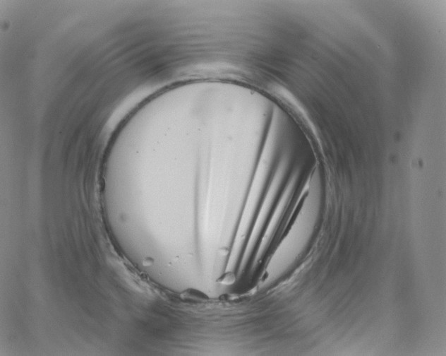 X0000065261336200603131153