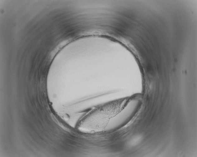 X0000065261337200603131153