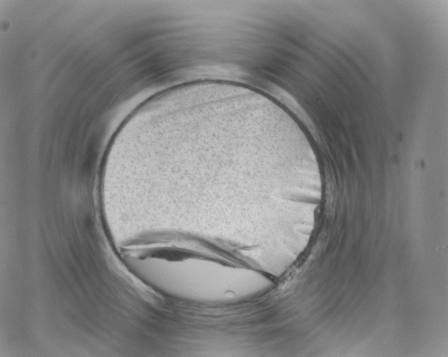 X0000065261339200603131153