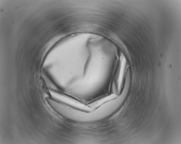 X0000065261340200603131153