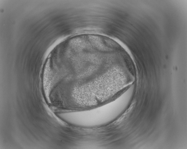 X0000065261341200603131153