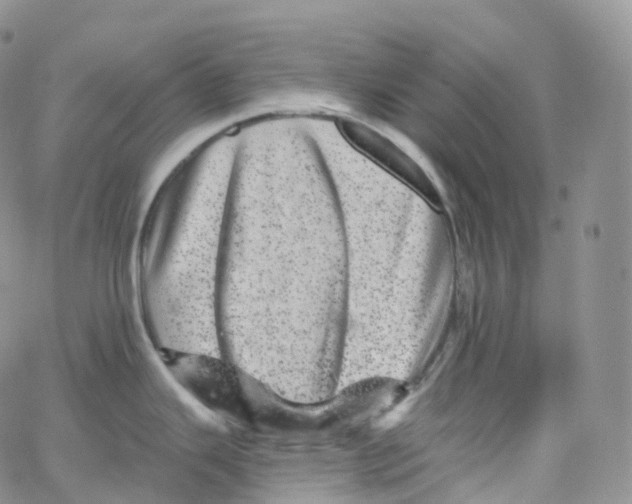 X0000065261343200603131153