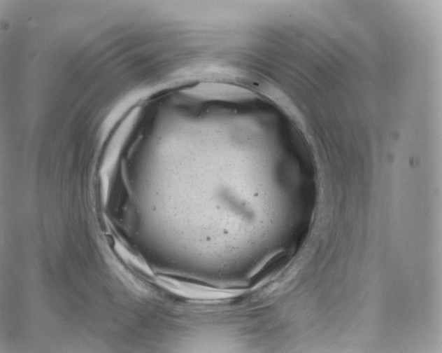 X0000065261344200603131153