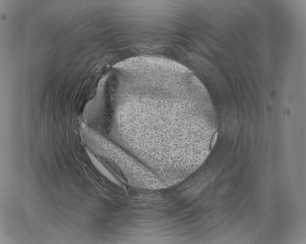 X0000065261346200603131152