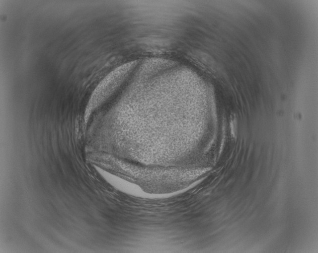 X0000065261347200603131152