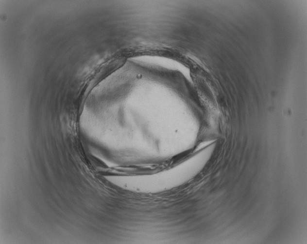 X0000065261348200603131152