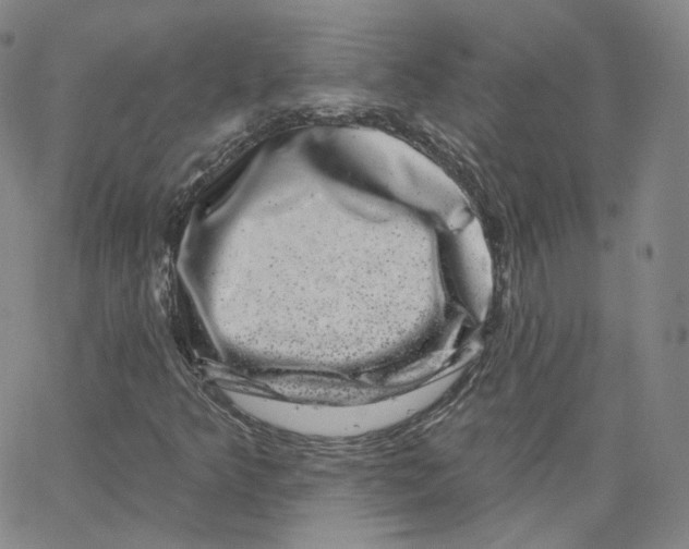 X0000065261349200603131152