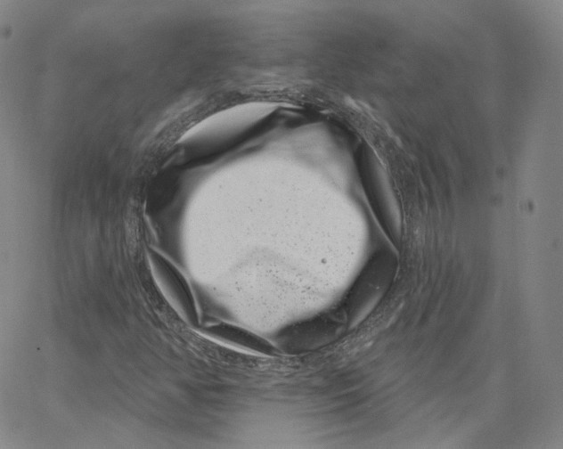 X0000065261350200603131152