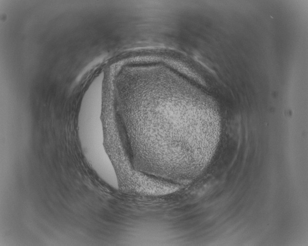 X0000065261351200603131152