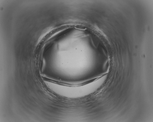 X0000065261352200603131152