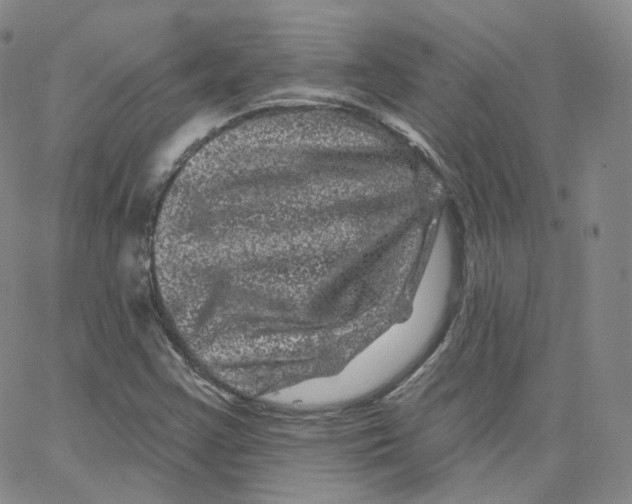 X0000065261355200603131152