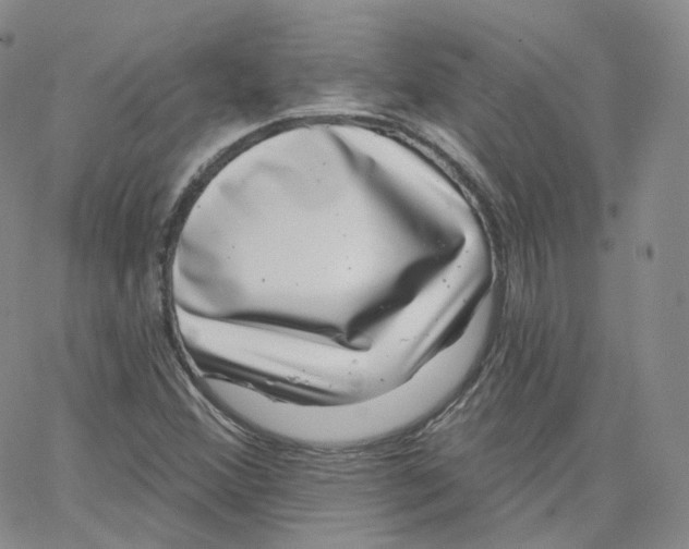 X0000065261356200603131152