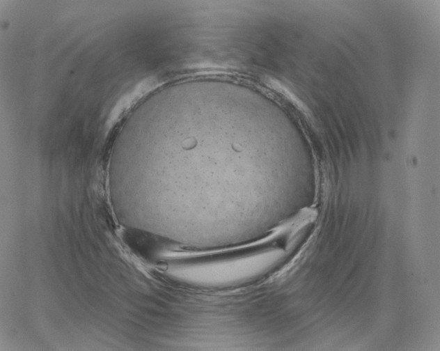 X0000065261357200603131152