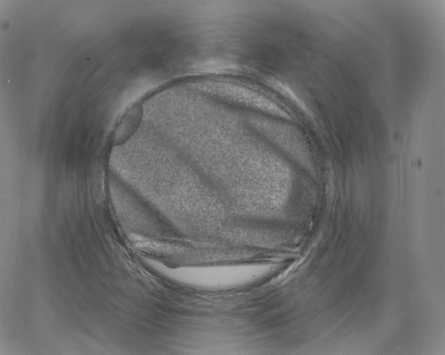 X0000065261358200603131152