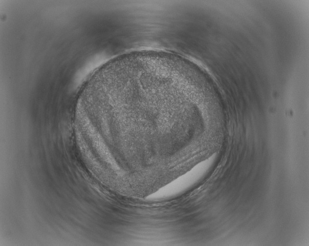 X0000065261359200603131152