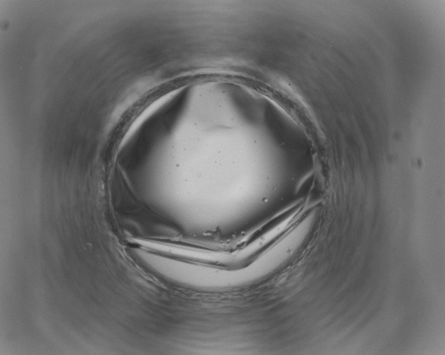 X0000065261360200603131152