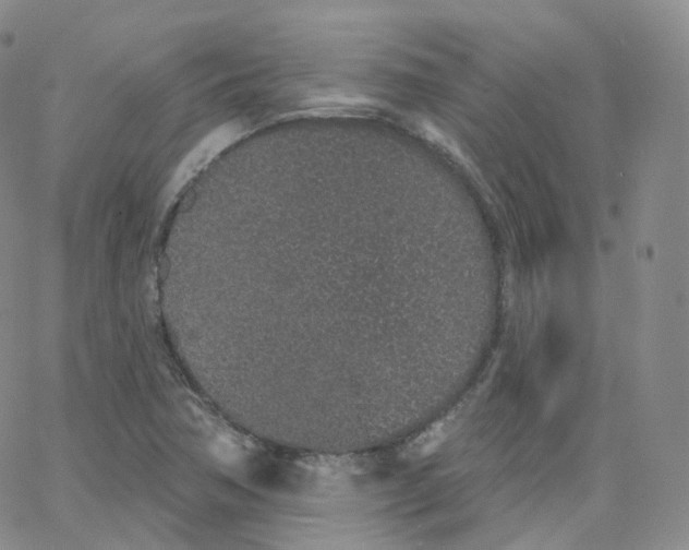 X0000065261362200603131152