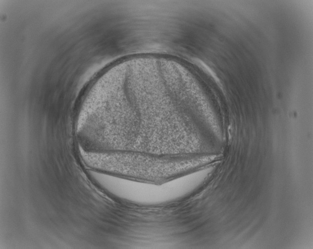 X0000065261364200603131152