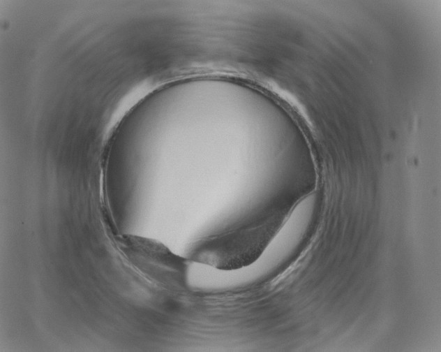 X0000065261365200603131152