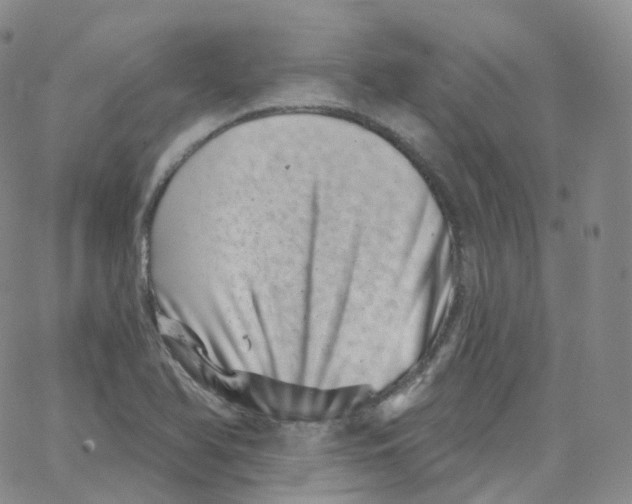 X0000065261366200603131152