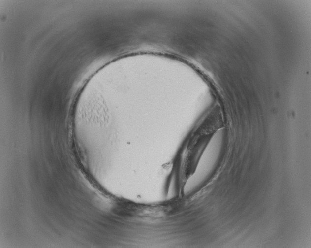 X0000065261367200603131152