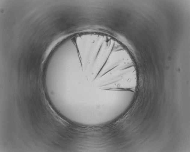 X0000065261368200603131152