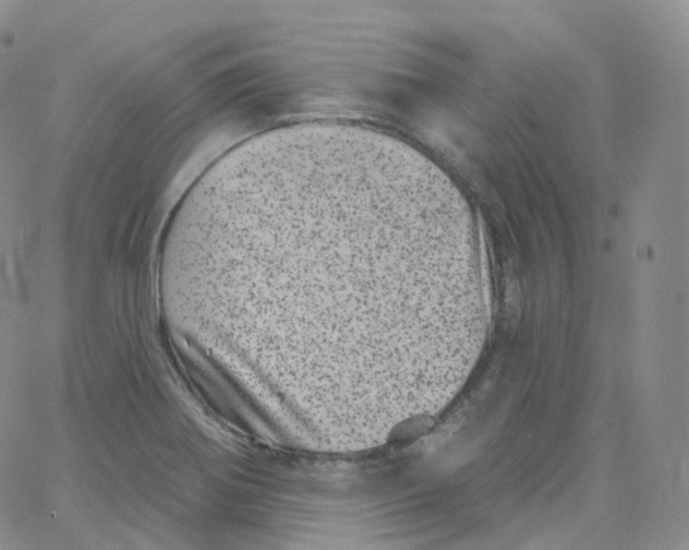 X0000065261370200603131152