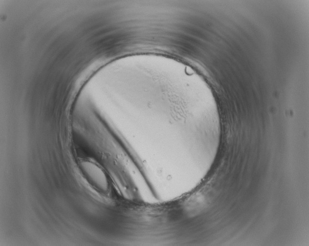 X0000065261371200603131152