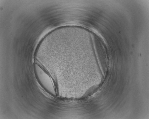 X0000065261372200603131152