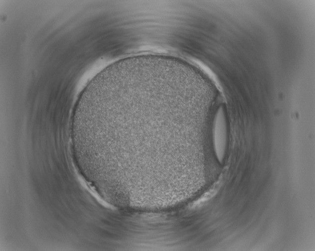 X0000065261373200603131152