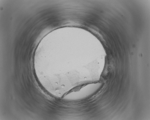 X0000065261375200603131152