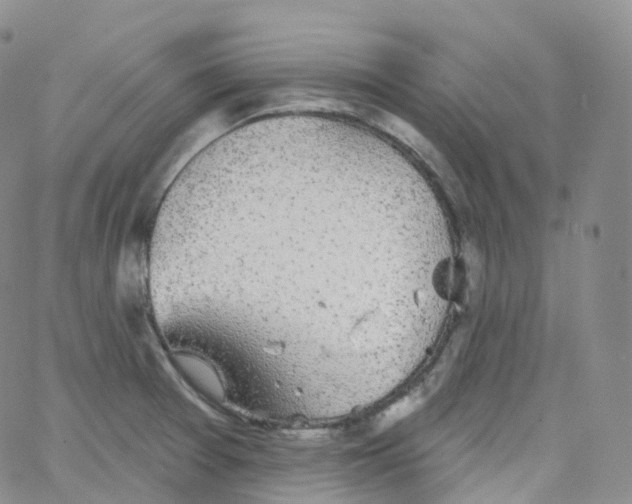 X0000065261377200603131152