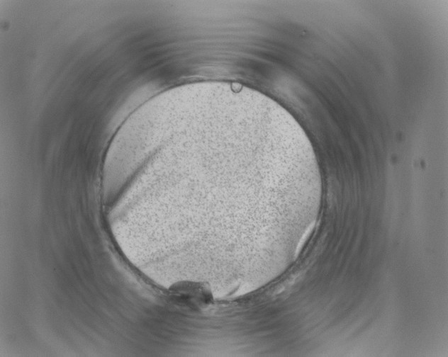 X0000065261378200603131152