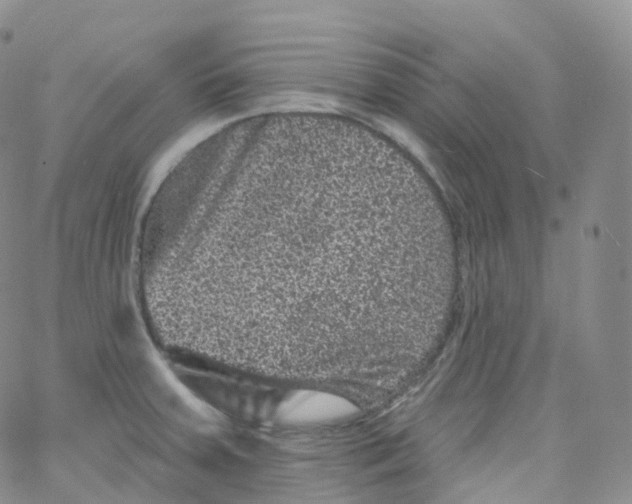 X0000065261379200603131152