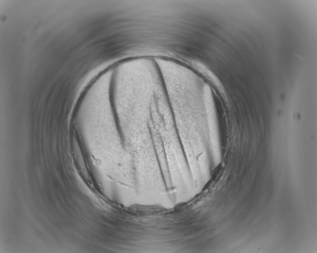 X0000065261380200603131152