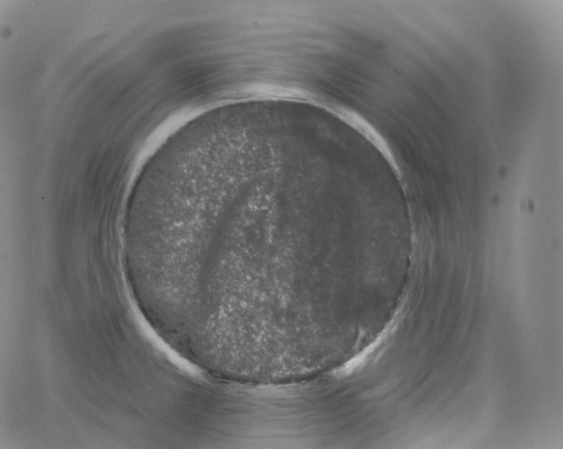 X0000065261381200603131152