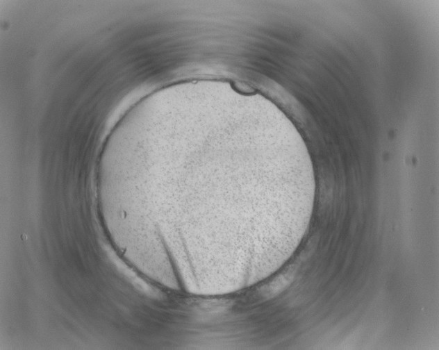 X0000065261382200603131152