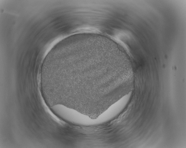 X0000065261383200603131151