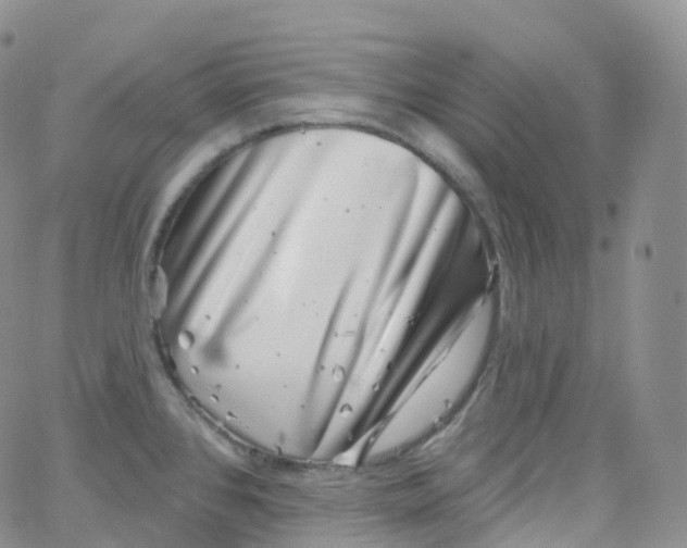 X0000065261384200603131151