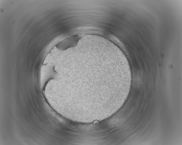 X0000065261386200603131151