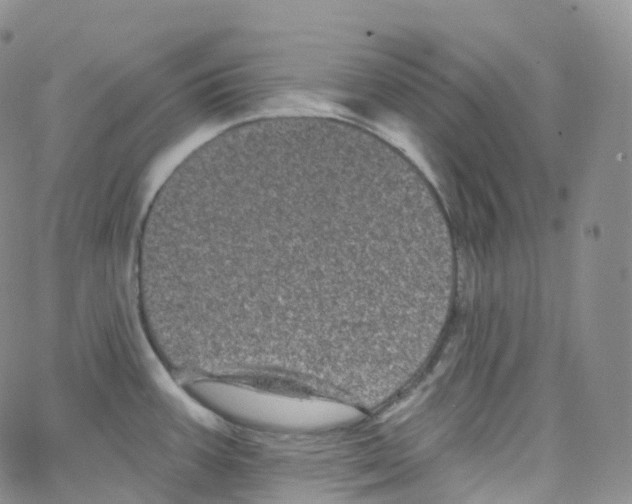 X0000065261387200603131151