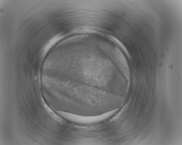 X0000065261388200603131151