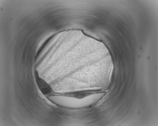 X0000065261390200603131151