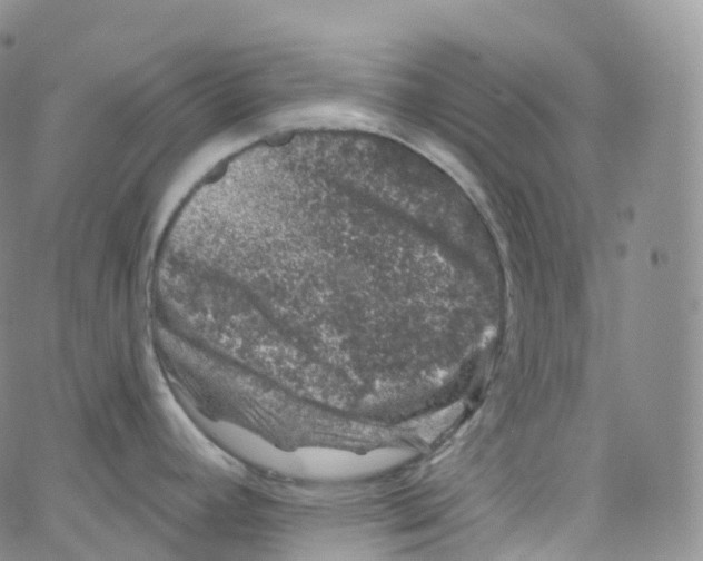 X0000065261392200603131151