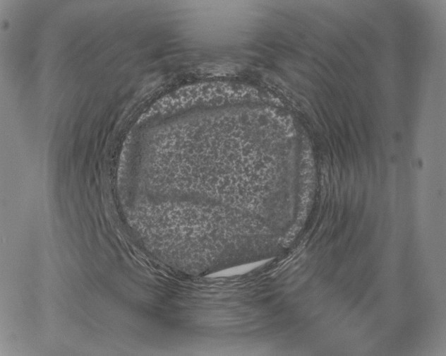 X0000065261393200603131151