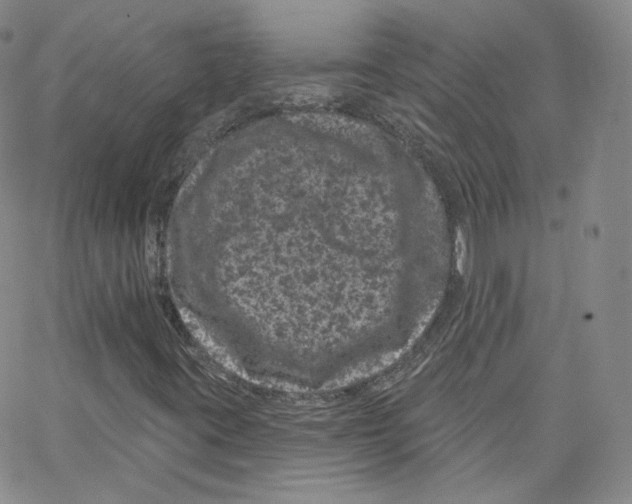 X0000065261395200603131151