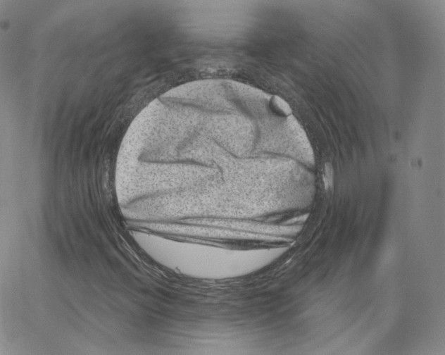 X0000065261396200603131151