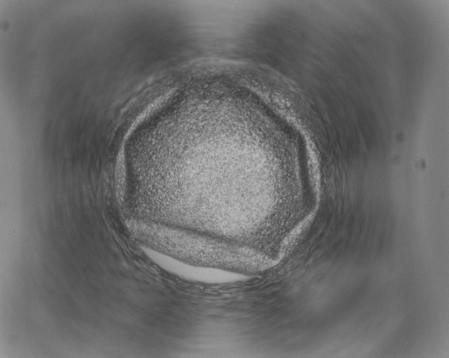 X0000065261397200603131151