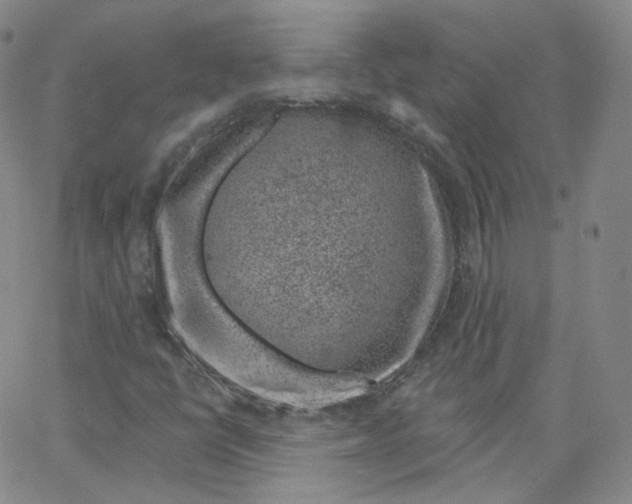 X0000065261398200603131151